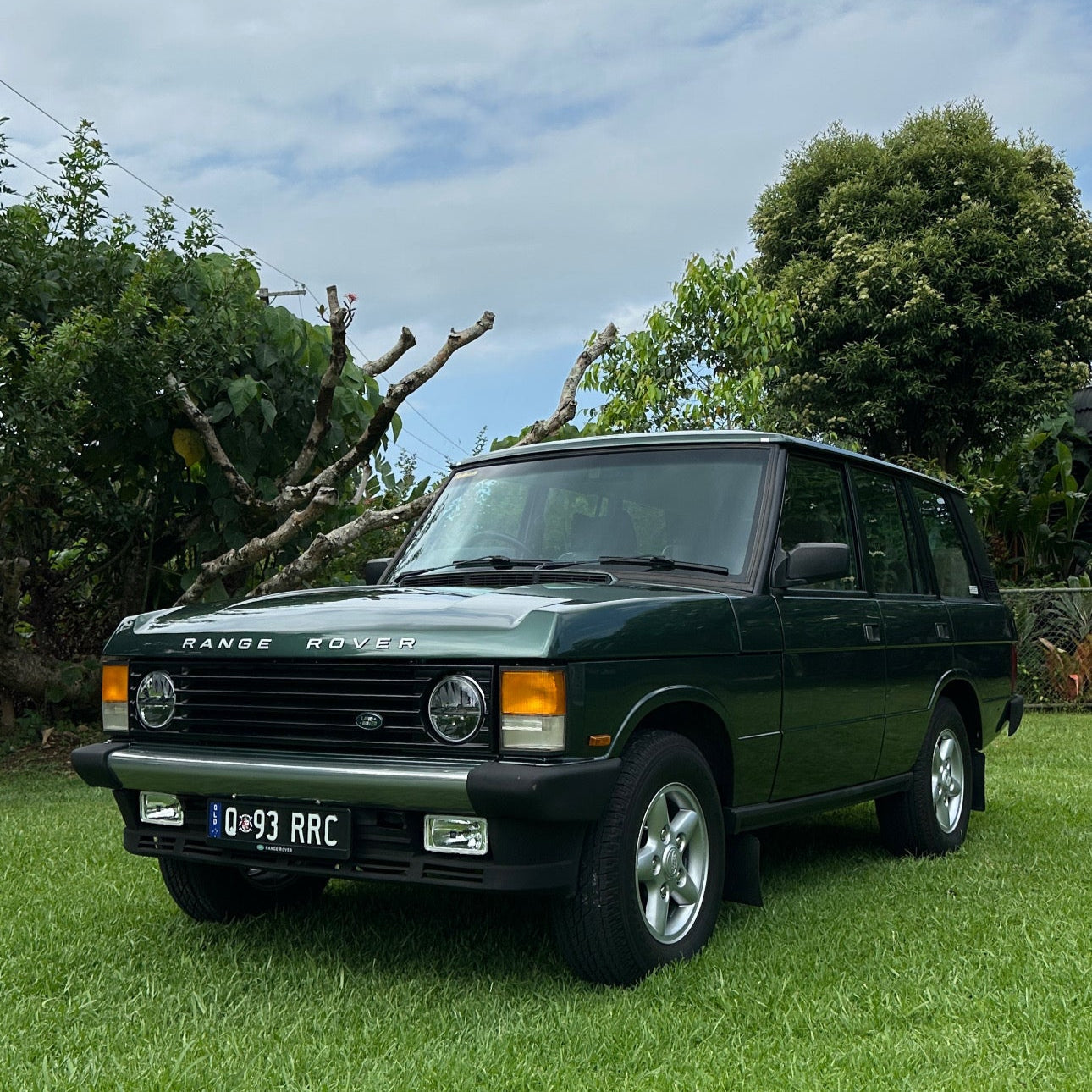Q93RRC 1993 Range Rover Classic Queensland on the grass with new badges