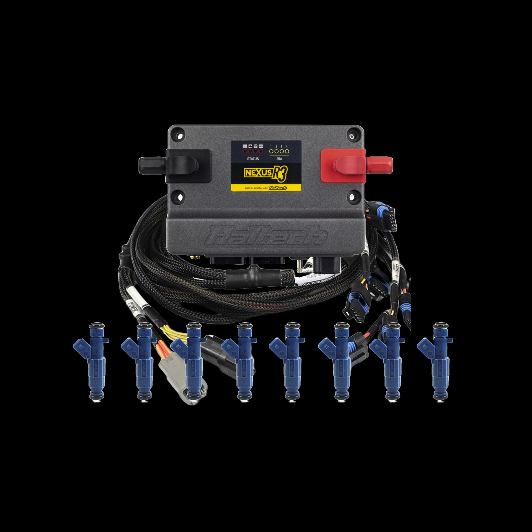 Plug & Play R3 EFI Kit