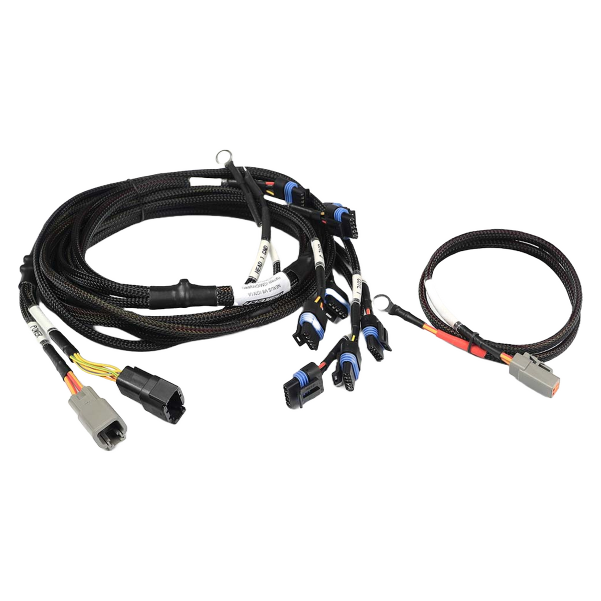 Rover V8 EFI Conversion System – Haltech Plug & Play | Regal Rover Classics